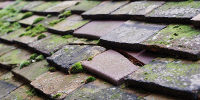 Trowbridge roof repair costs